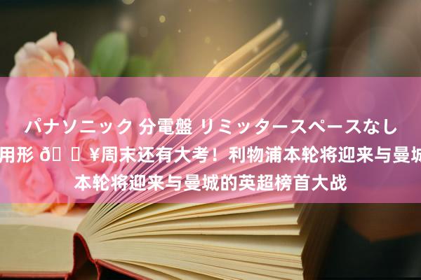パナソニック 分電盤 リミッタースペースなし 露出・半埋込両用形 💥周末还有大考！利物浦本轮将迎来与曼城的英超榜首大战